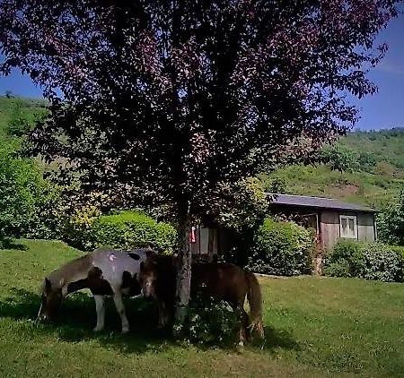 La Fregiere Chalets Clairvaux-d'Aveyron Εξωτερικό φωτογραφία