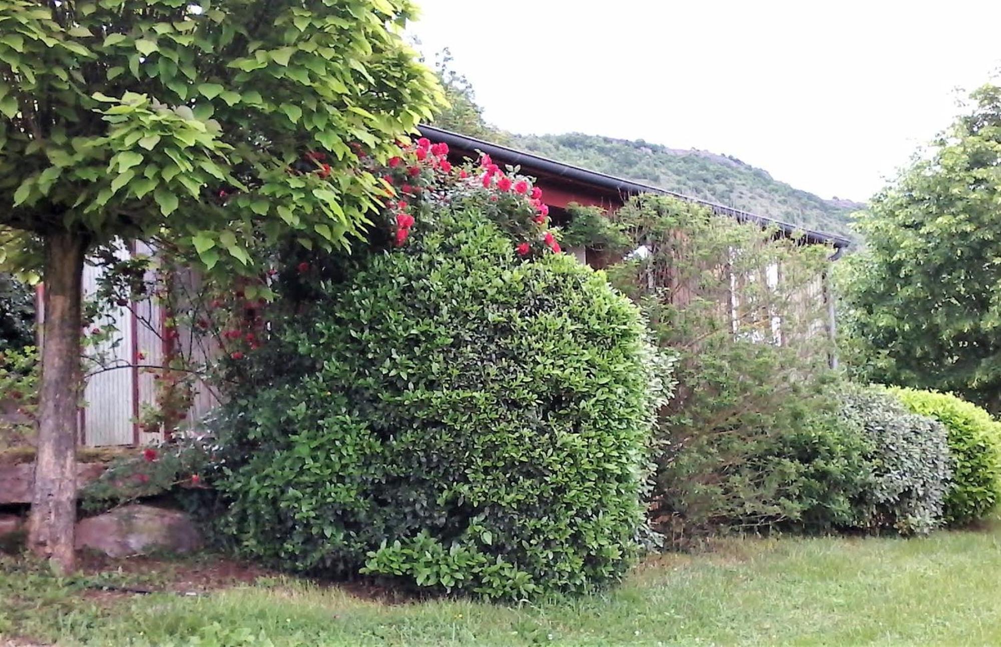 La Fregiere Chalets Clairvaux-d'Aveyron Εξωτερικό φωτογραφία