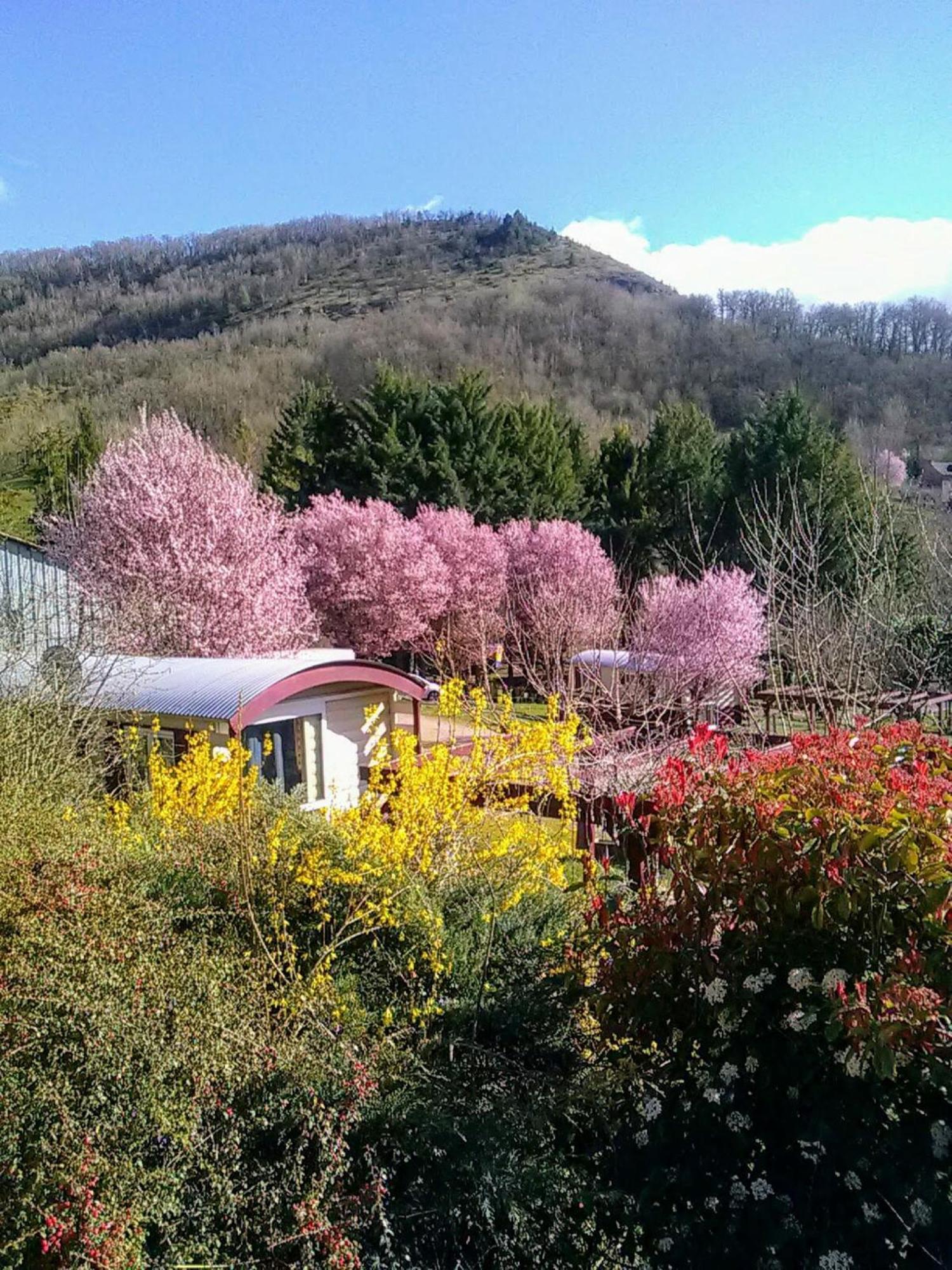 La Fregiere Chalets Clairvaux-d'Aveyron Εξωτερικό φωτογραφία