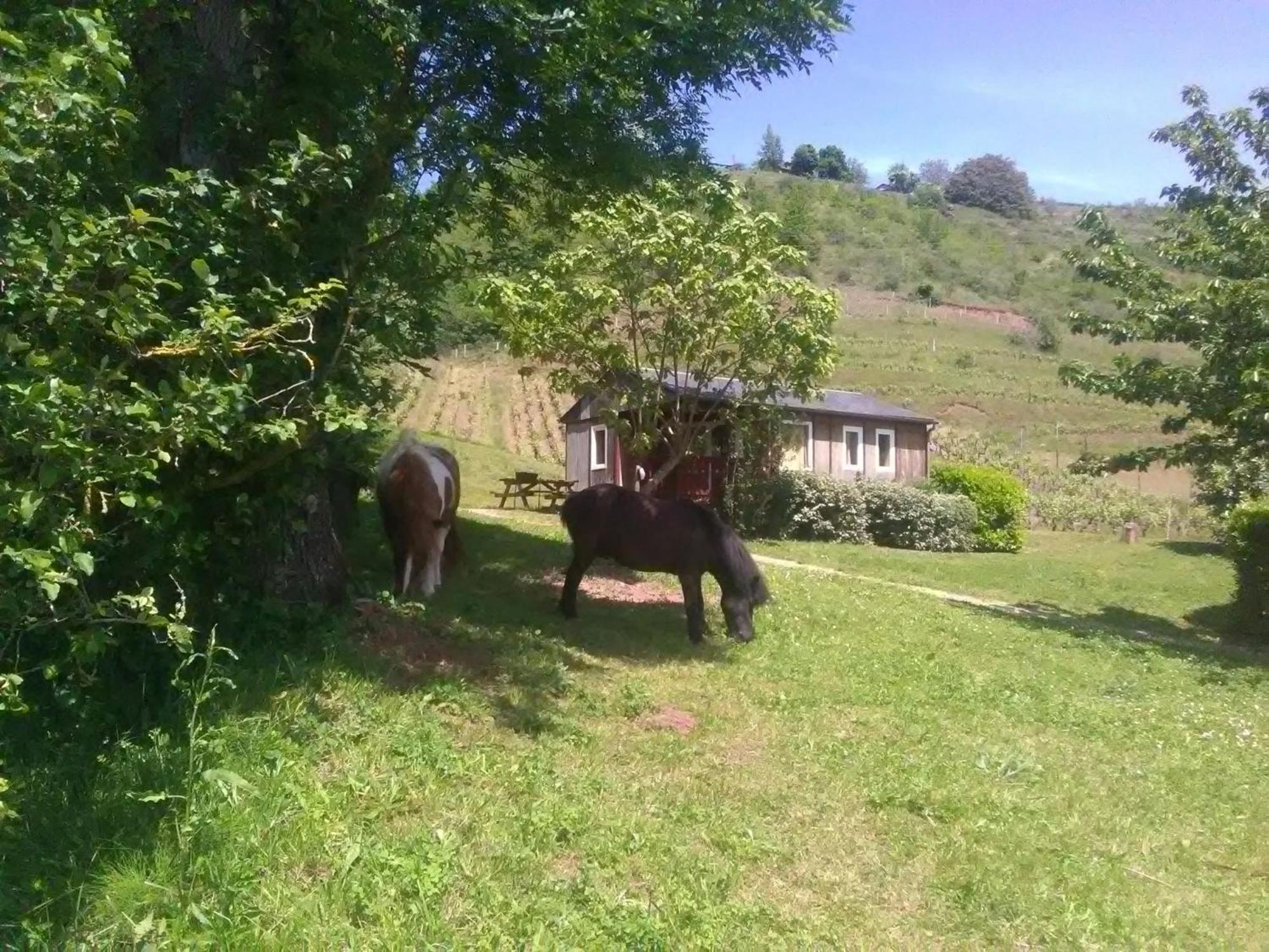 La Fregiere Chalets Clairvaux-d'Aveyron Εξωτερικό φωτογραφία