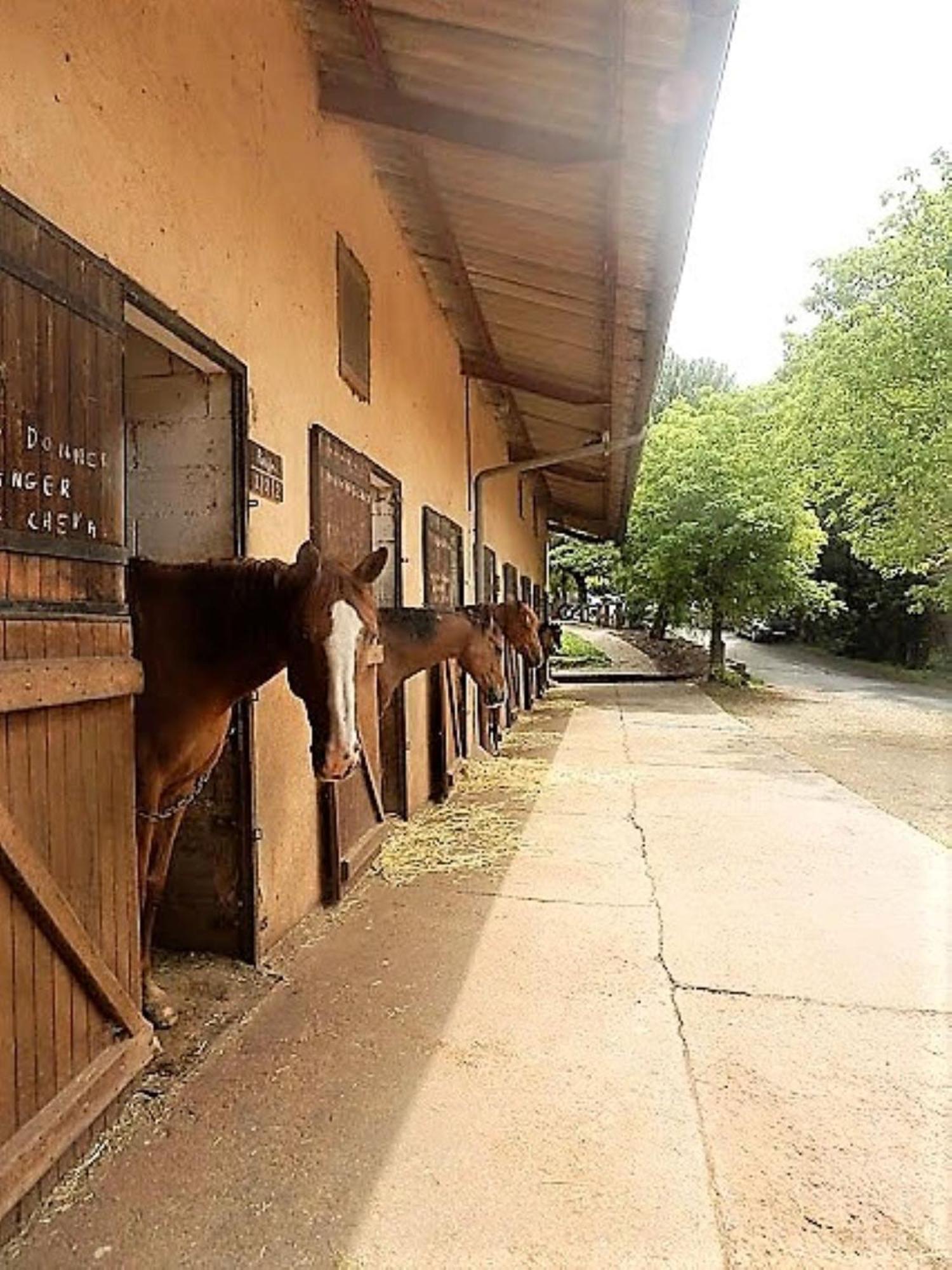 La Fregiere Chalets Clairvaux-d'Aveyron Εξωτερικό φωτογραφία
