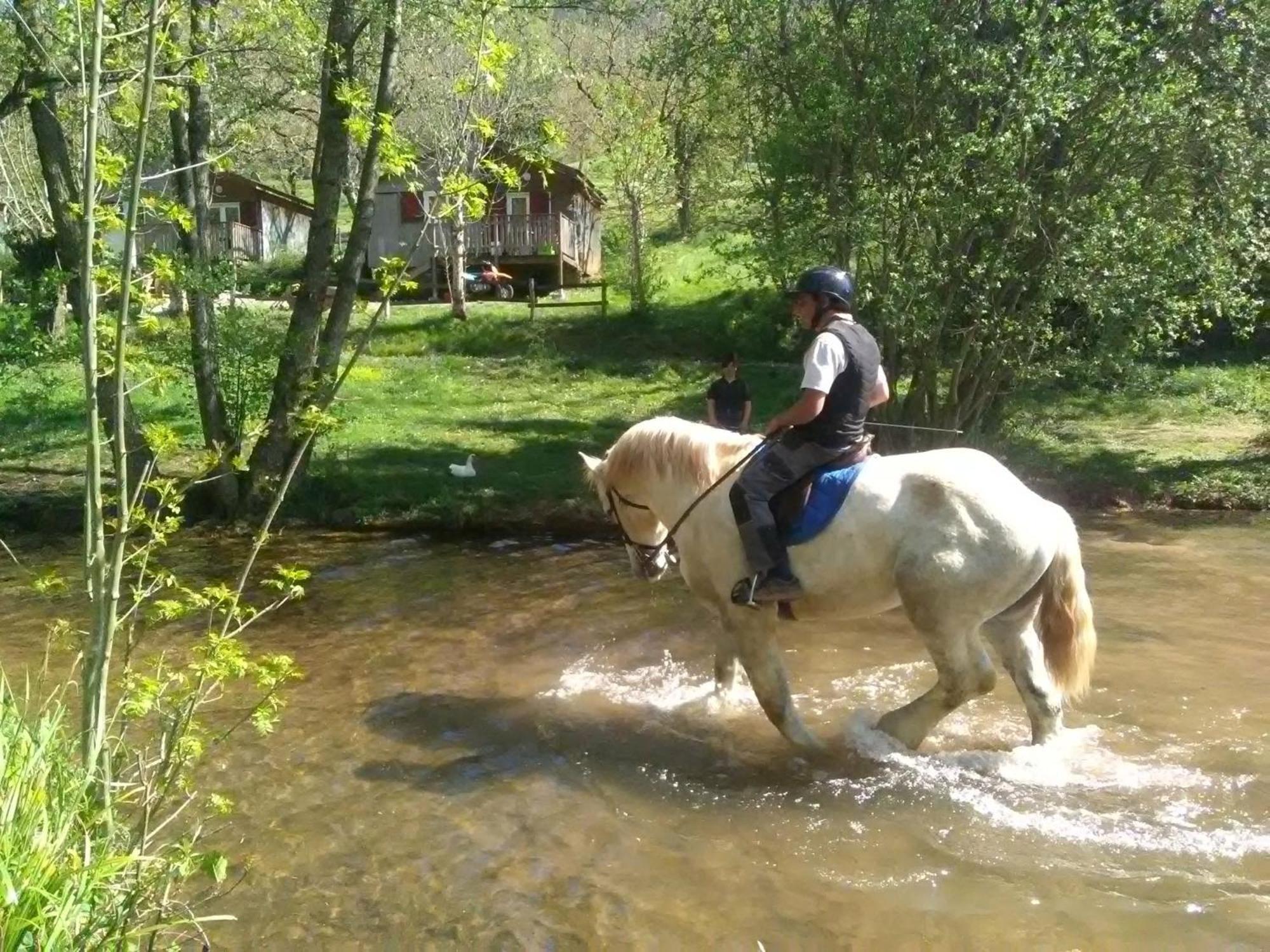 La Fregiere Chalets Clairvaux-d'Aveyron Εξωτερικό φωτογραφία