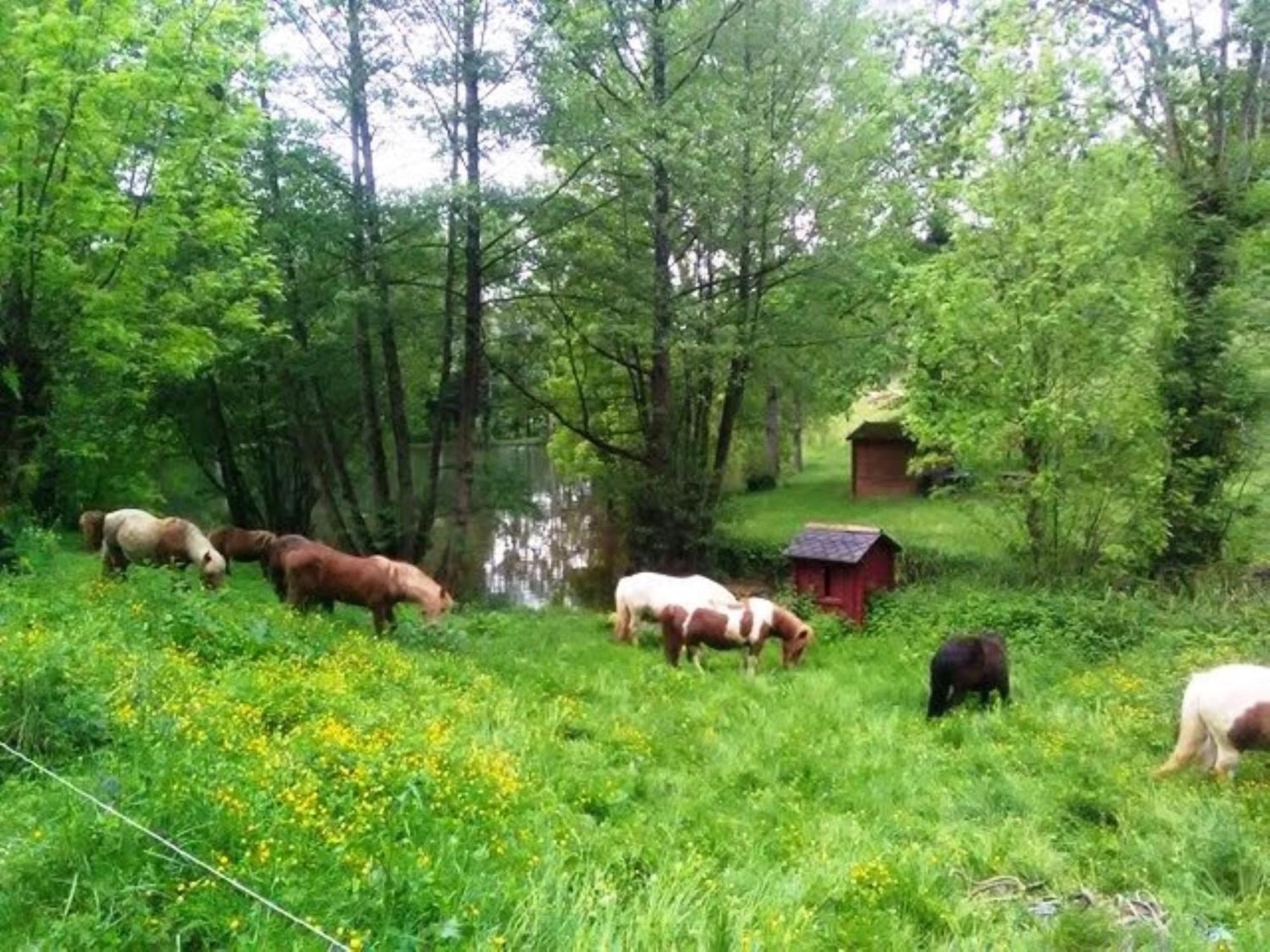 La Fregiere Chalets Clairvaux-d'Aveyron Εξωτερικό φωτογραφία