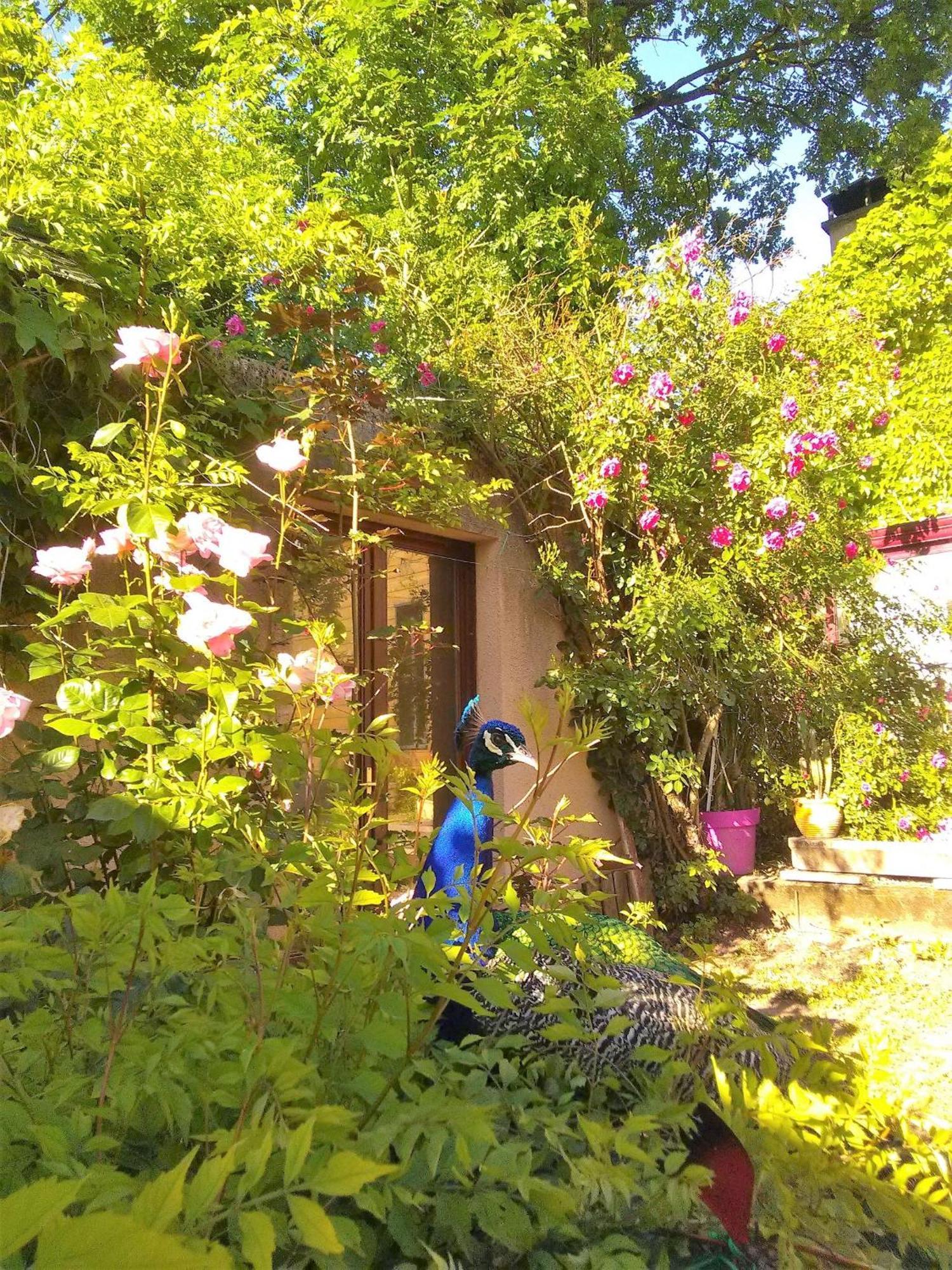 La Fregiere Chalets Clairvaux-d'Aveyron Εξωτερικό φωτογραφία