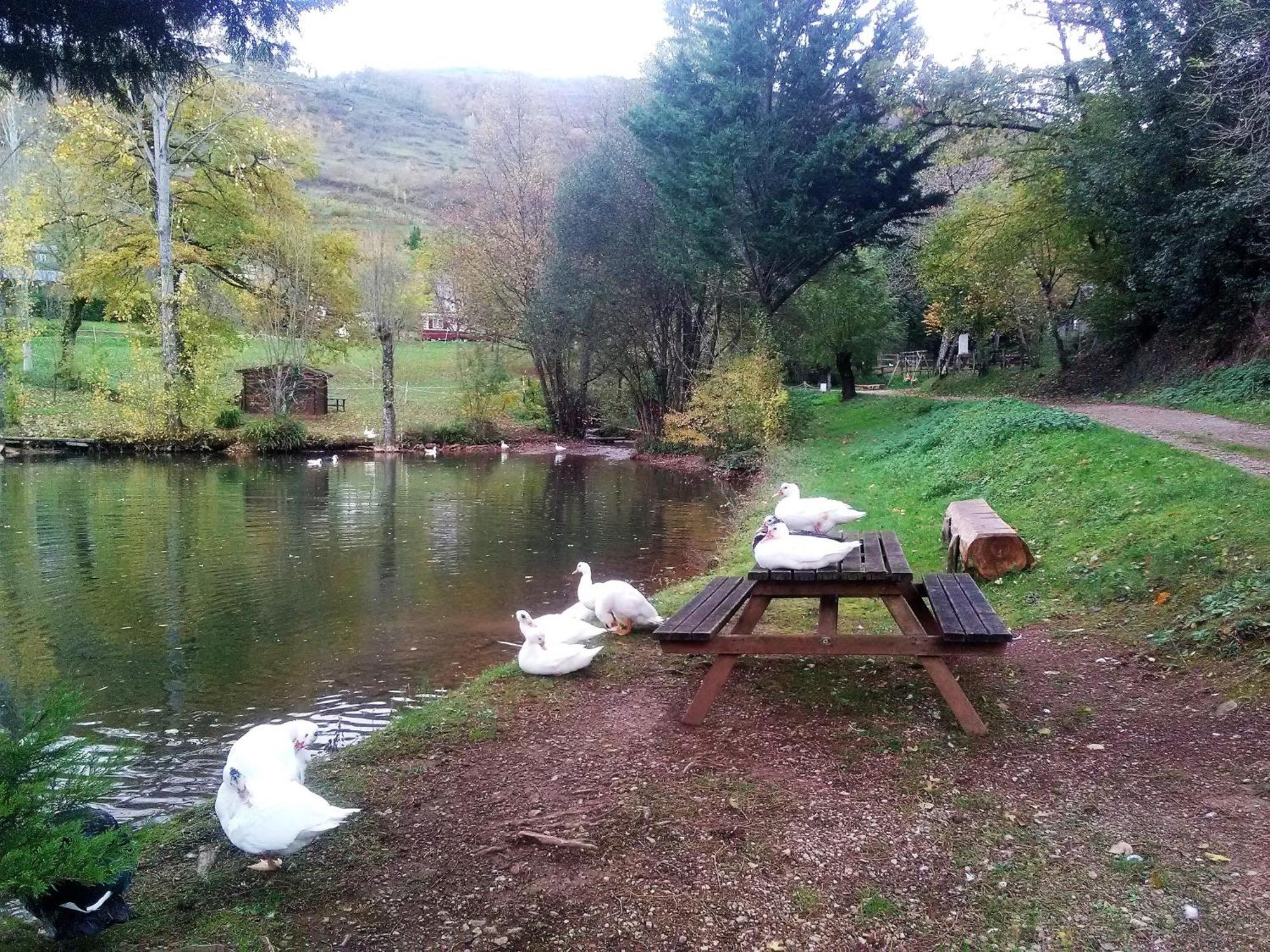La Fregiere Chalets Clairvaux-d'Aveyron Εξωτερικό φωτογραφία